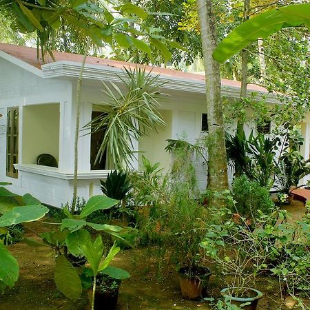 Hotel Jickys Nest Varkala Zimmer foto